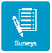 survey_icon