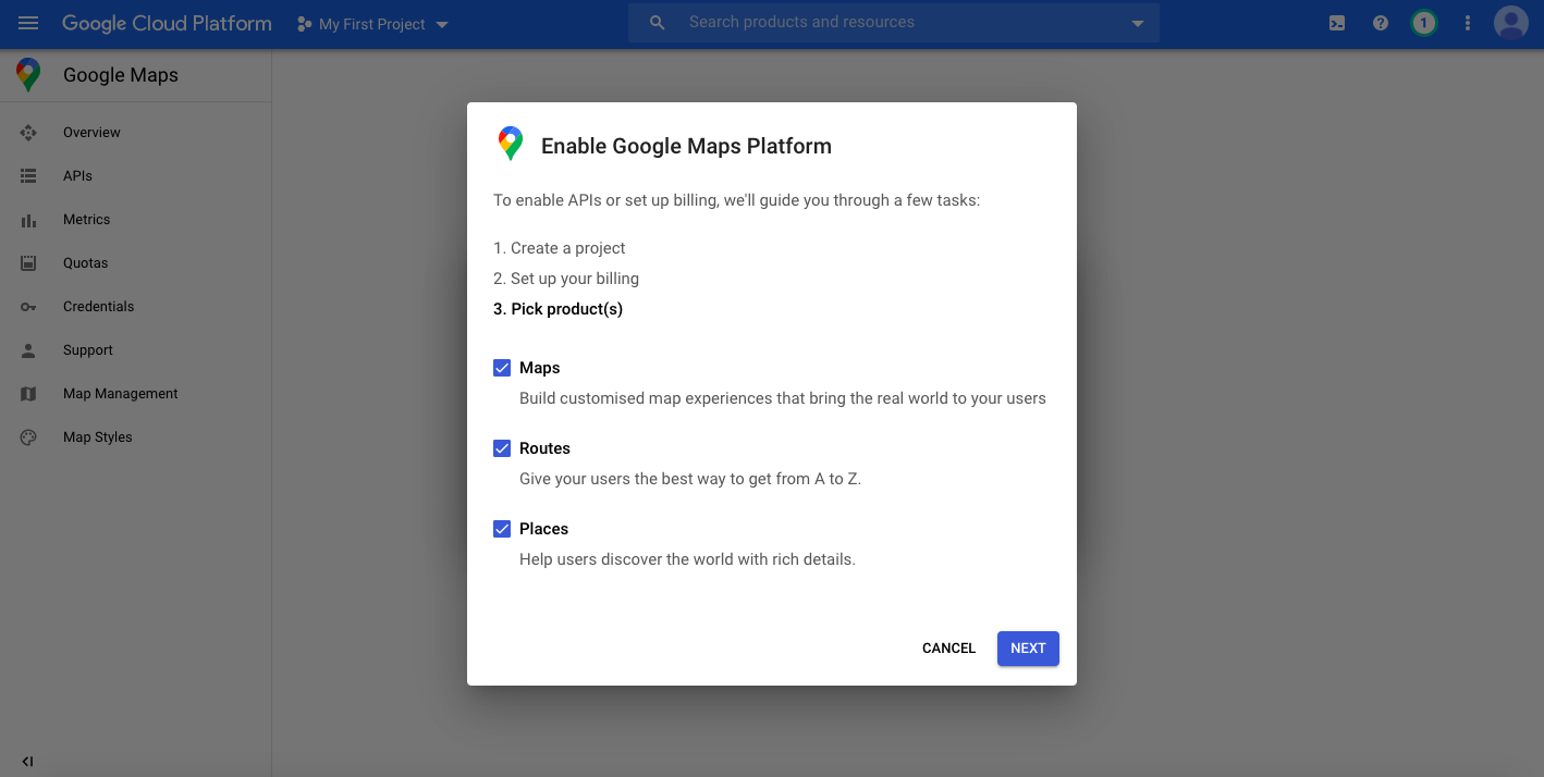 Google Maps JS API